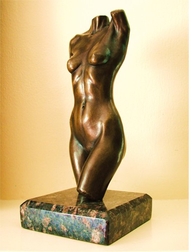 C's Torso 1
