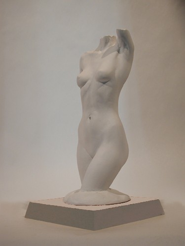 C's Torso 2
